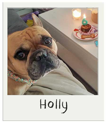 Holly